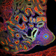 Illustration for article titled Award-winning images of some of the worlds smallest life forms